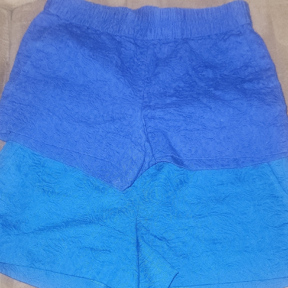J. Crew Blue Women's Shorts